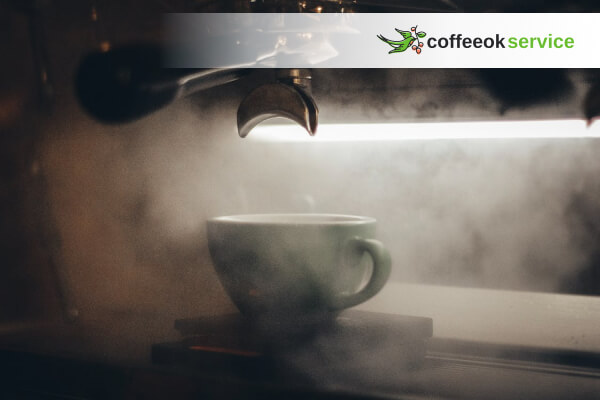 Кавомашина Delonghi не промивається